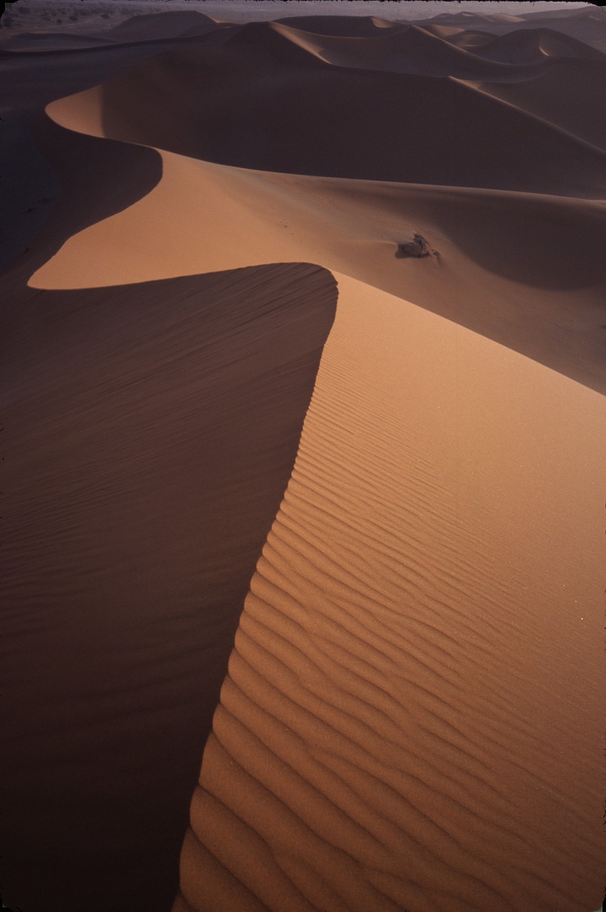 dunes  namibia  africa free photo