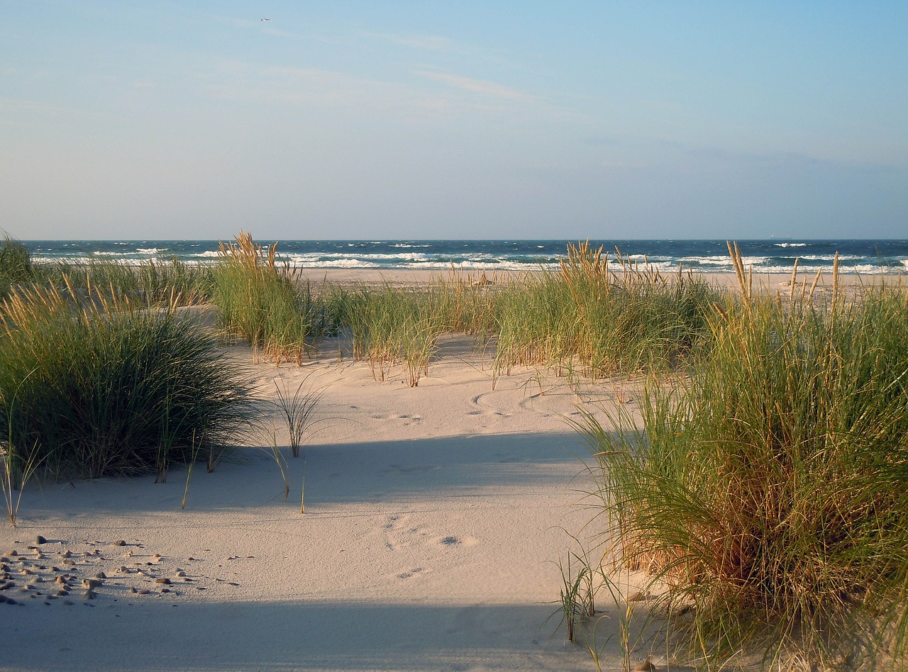 dunes sand beach free photo