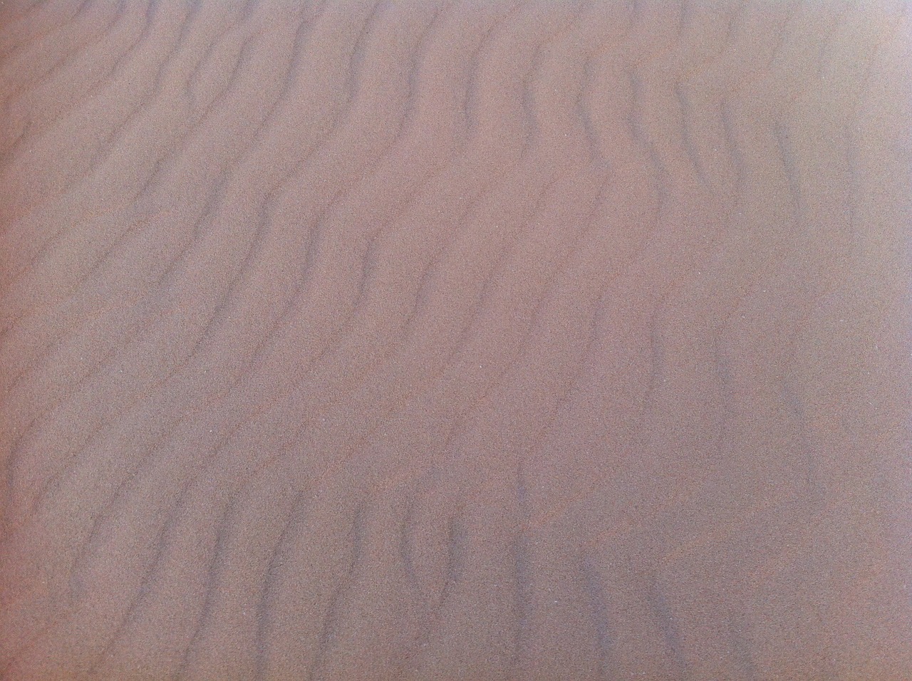 dunes sand brands free photo