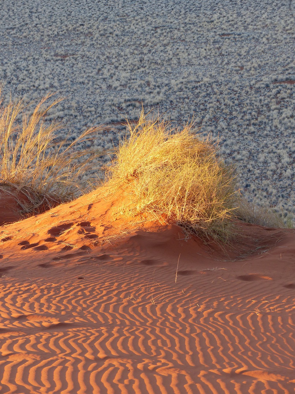 dunes namibia sand free photo