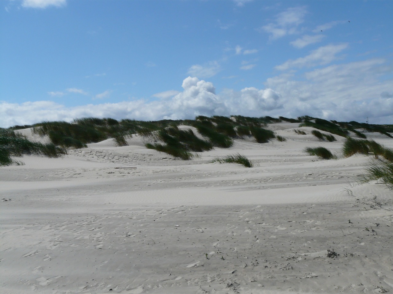 dunes north sea sea free photo