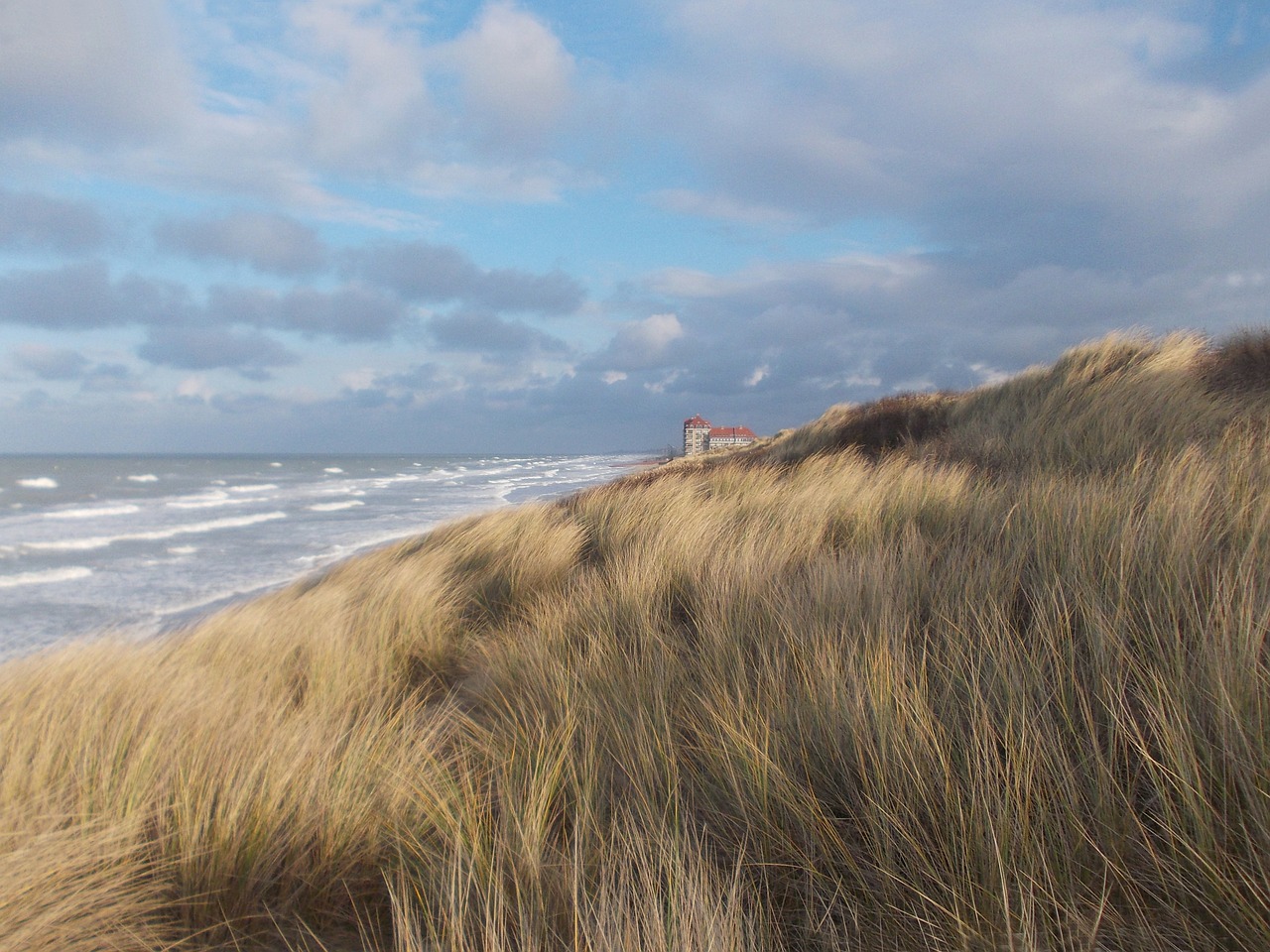 dunes foredune oyats free photo