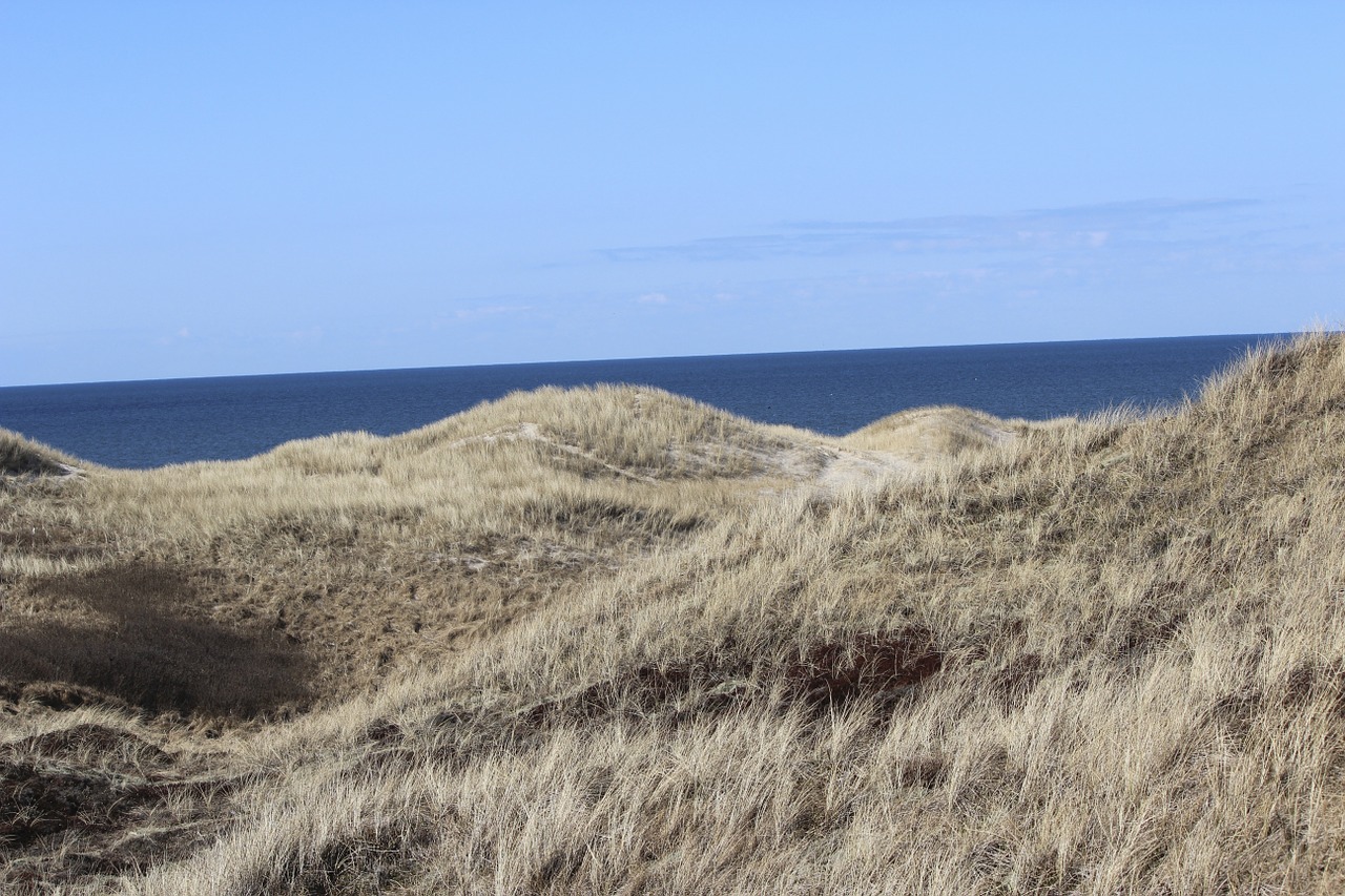 dunes dry dune free photo