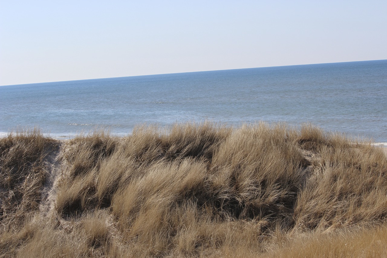 dunes dry drought free photo