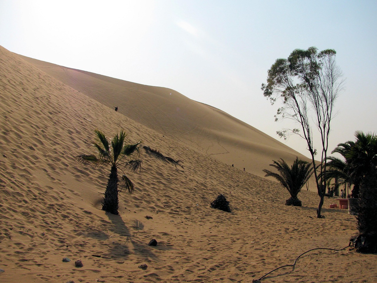 dunes namibia desert free photo