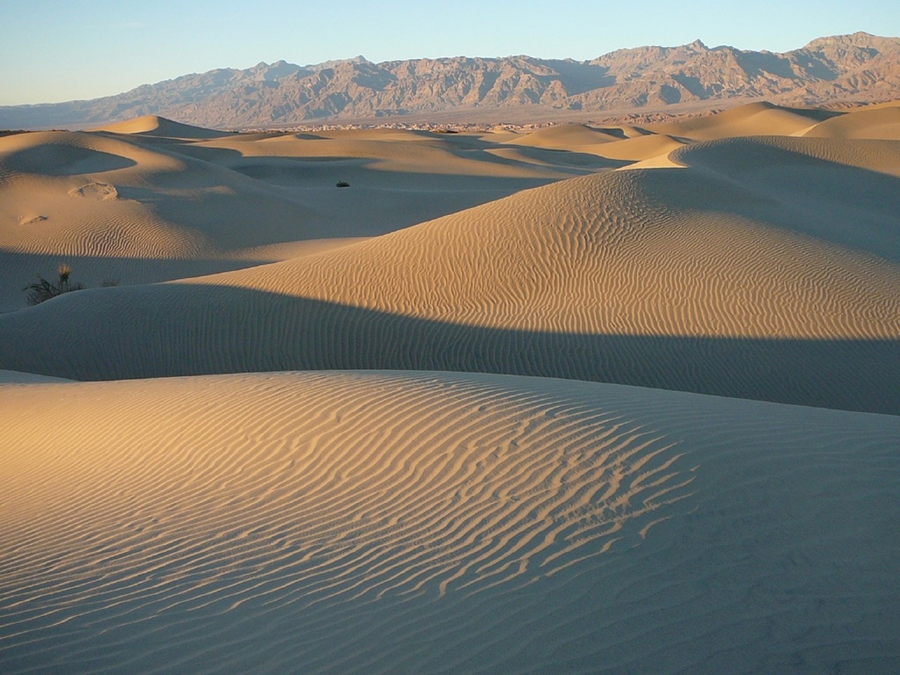 dunes sand death valley free photo