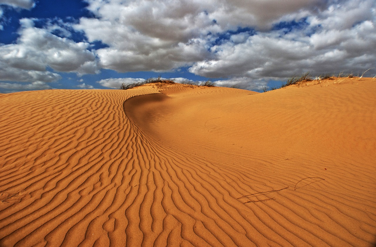 dunes sand landscape free photo