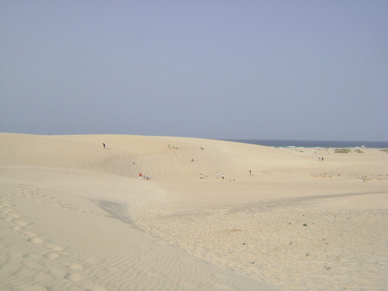 dunes sea sand free photo