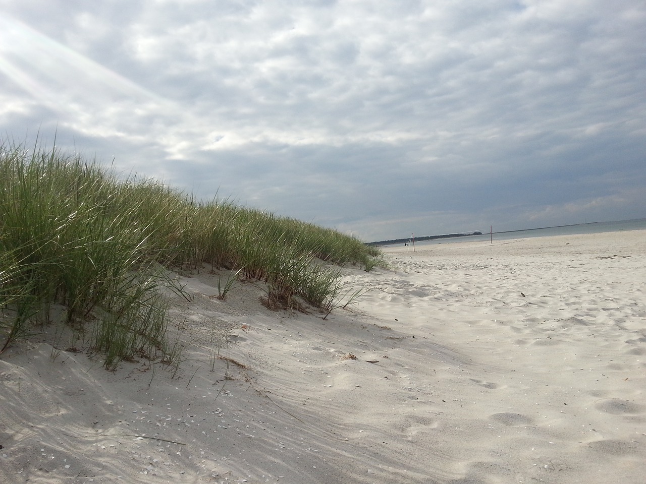 dunes beach baltic sea free photo