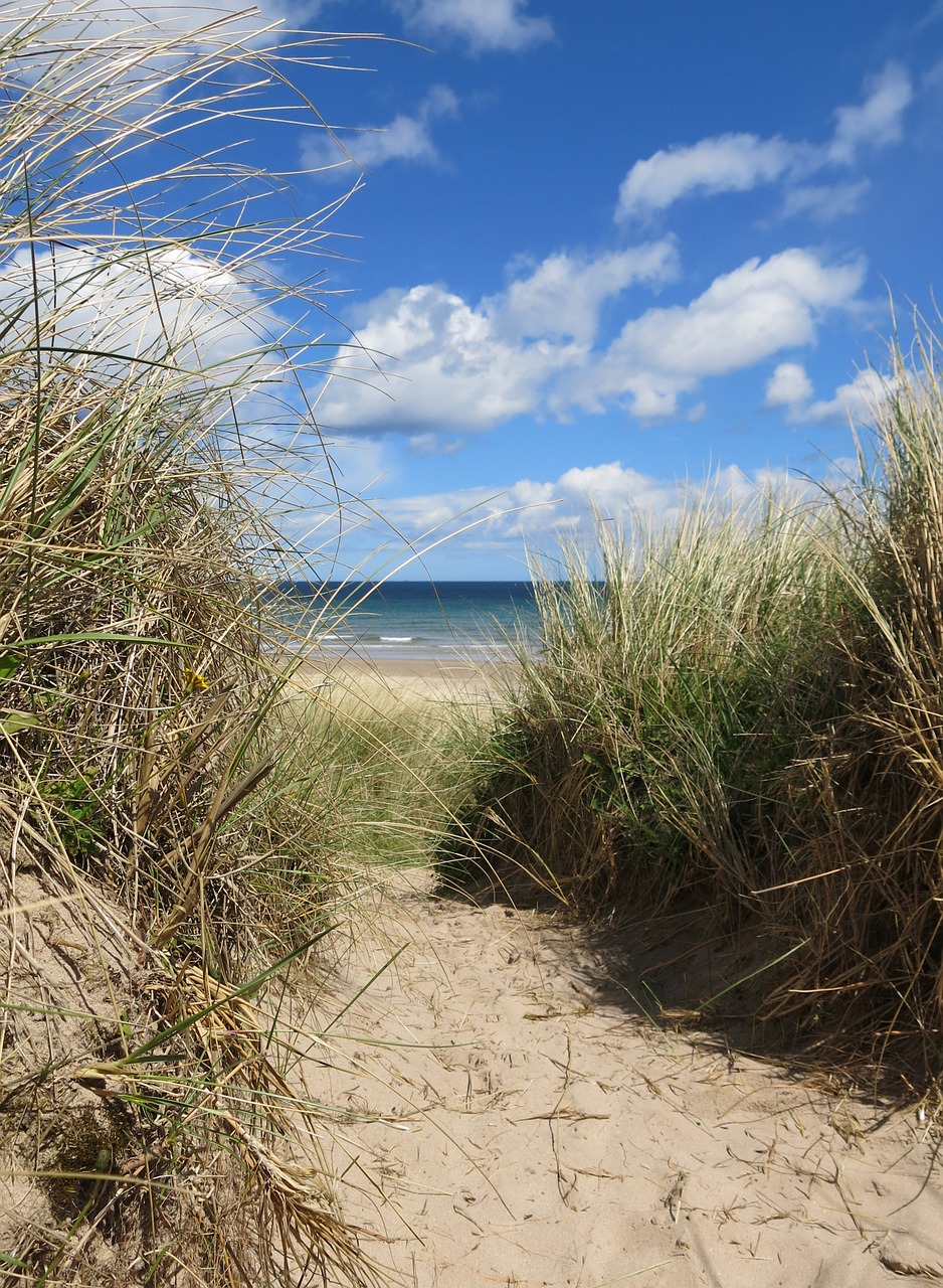dunes northumberland sea free photo