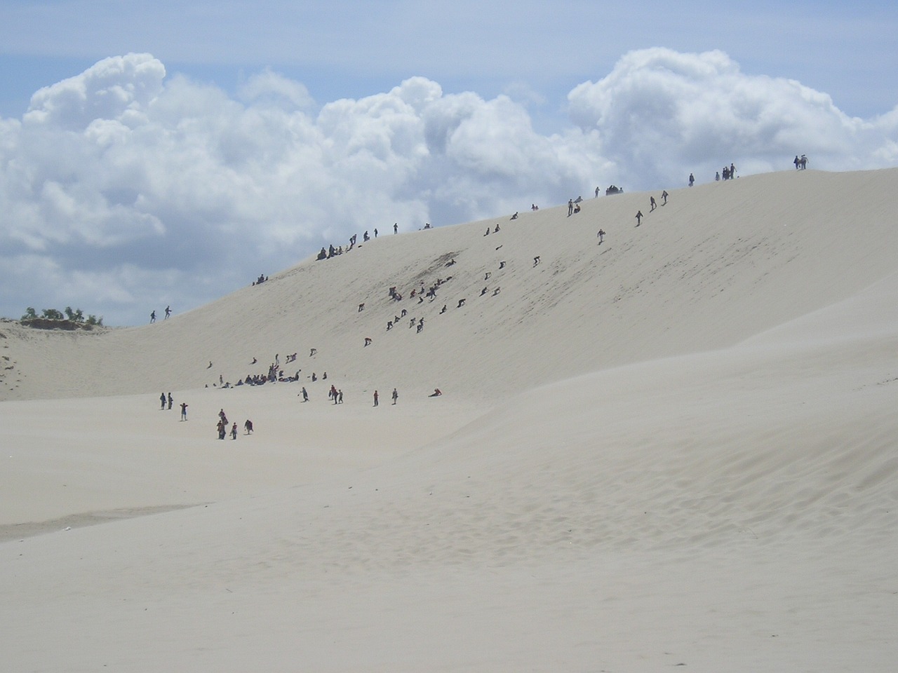 dunes shifting sand dunes sand free photo