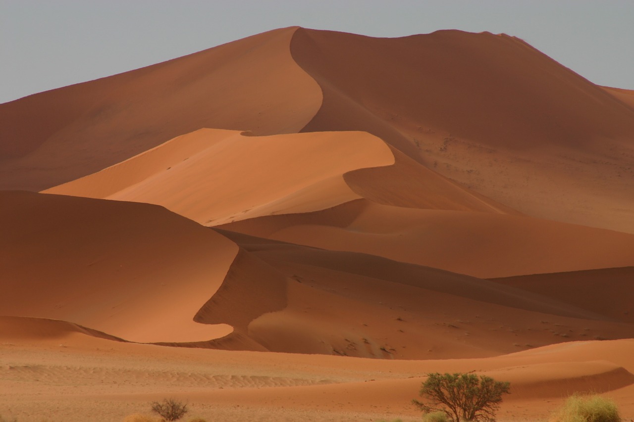 dunes desert sand free photo