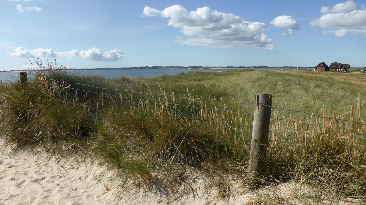 dunes sand wide free photo