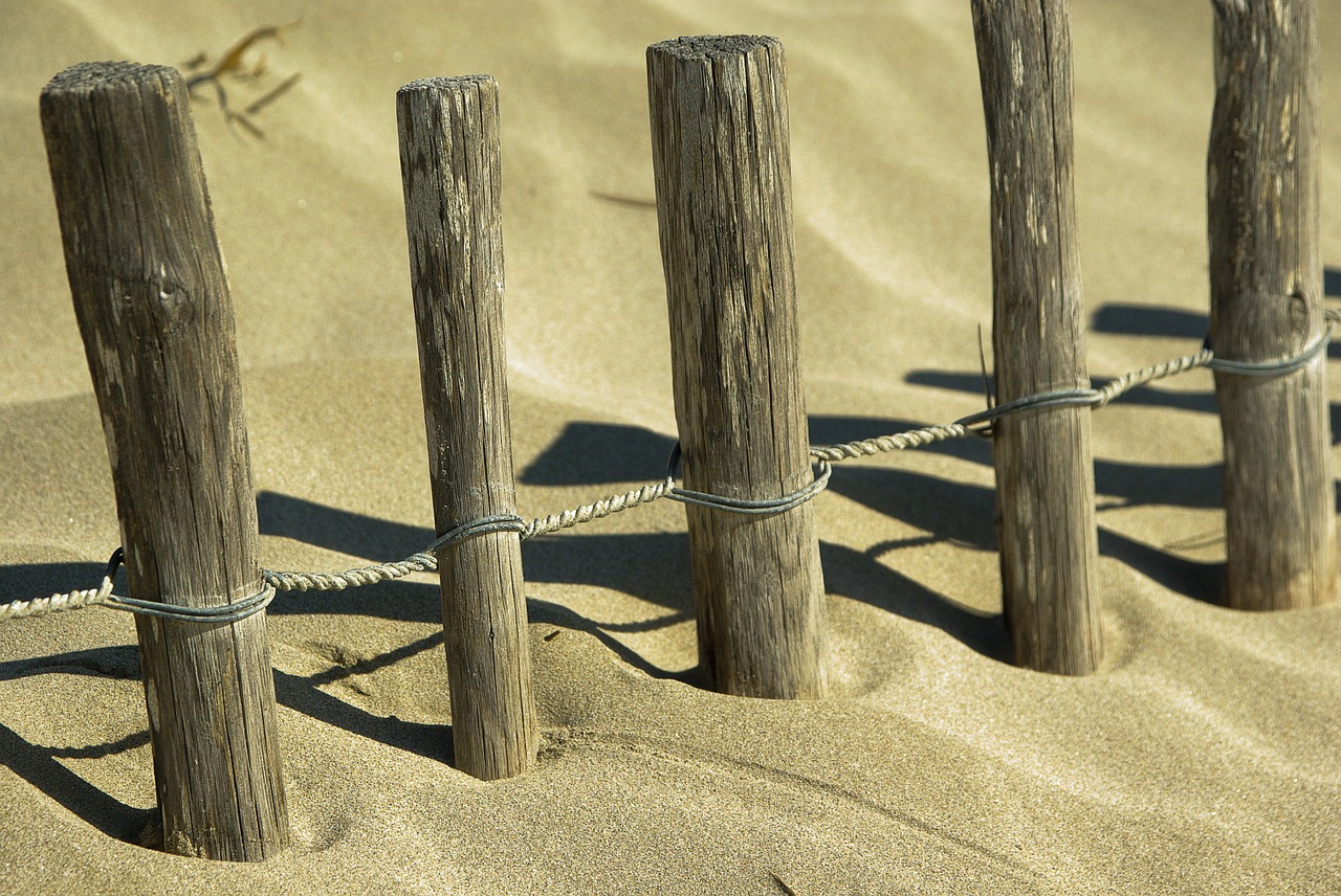dunes stakes sand free photo