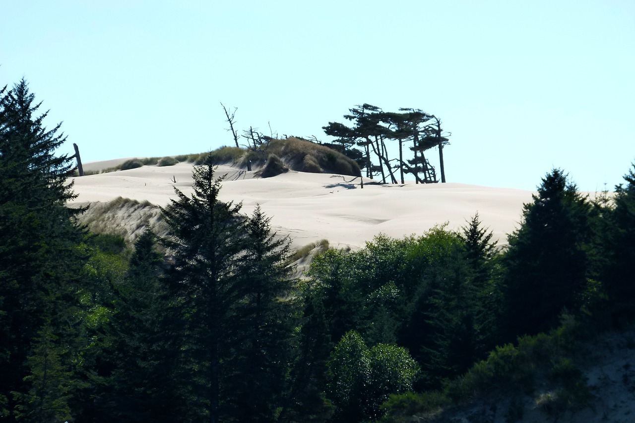dunes national park oregon usa free photo