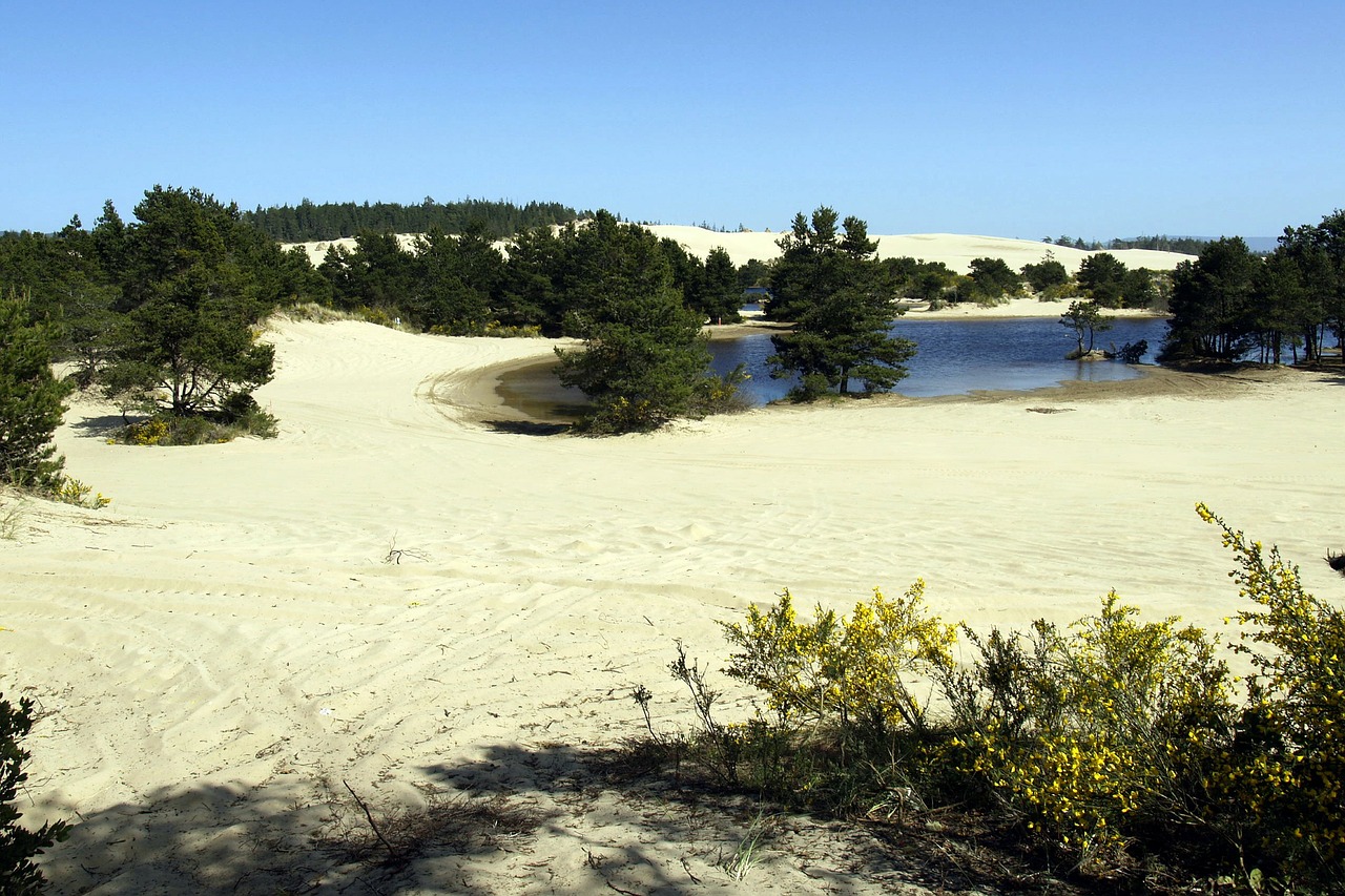 dunes national park sand hills free photo