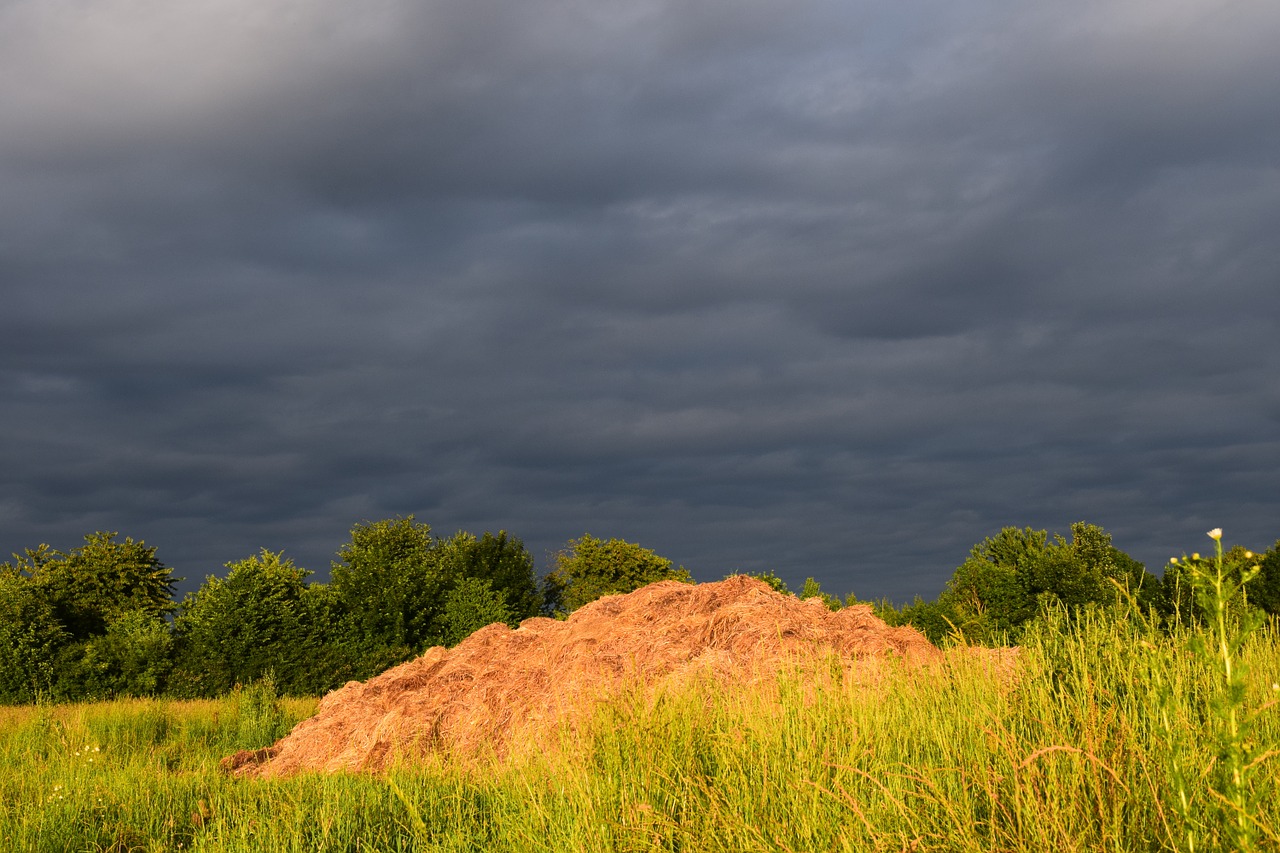 dung sky cloudiness free photo