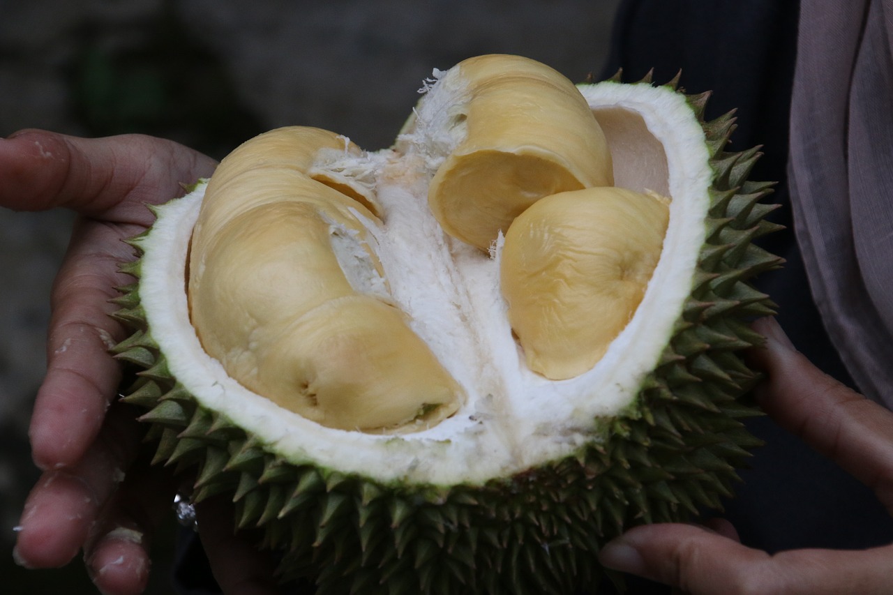 durian king of fruit exotic fruit free photo