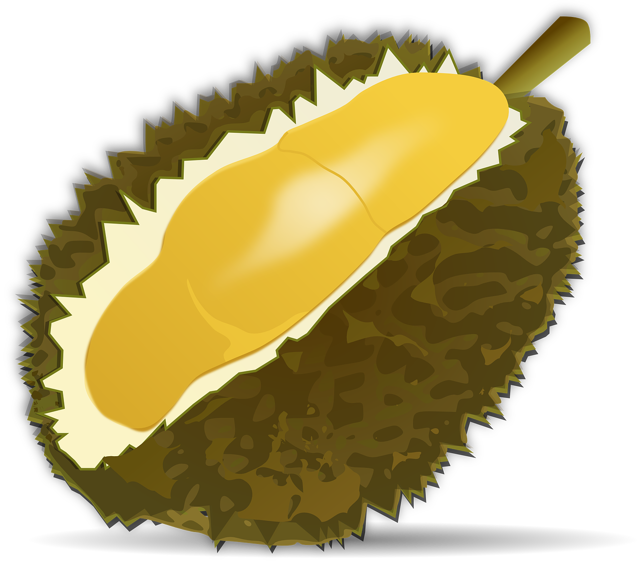 durian fruit fruit food free photo