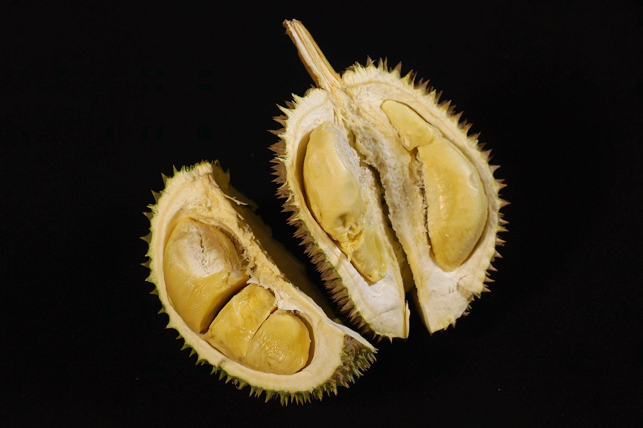 durian fruit king of fruits tropical free photo
