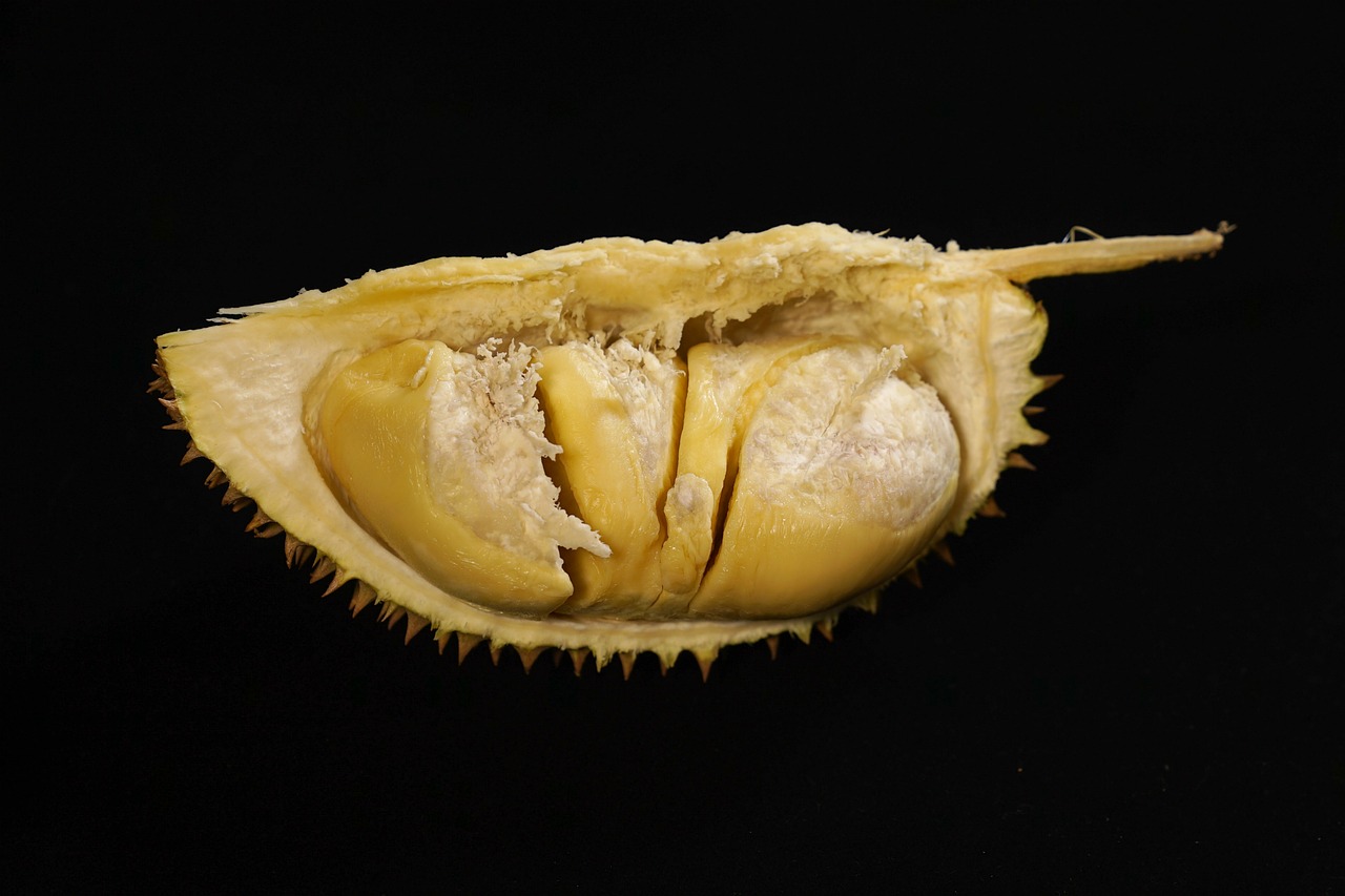 durian fruit king of fruits tropical free photo