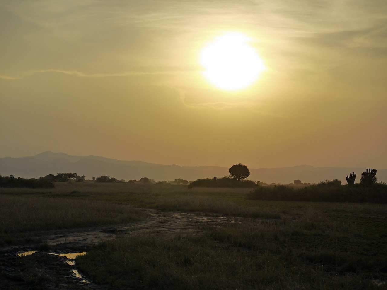 dusk savannah uganda free photo