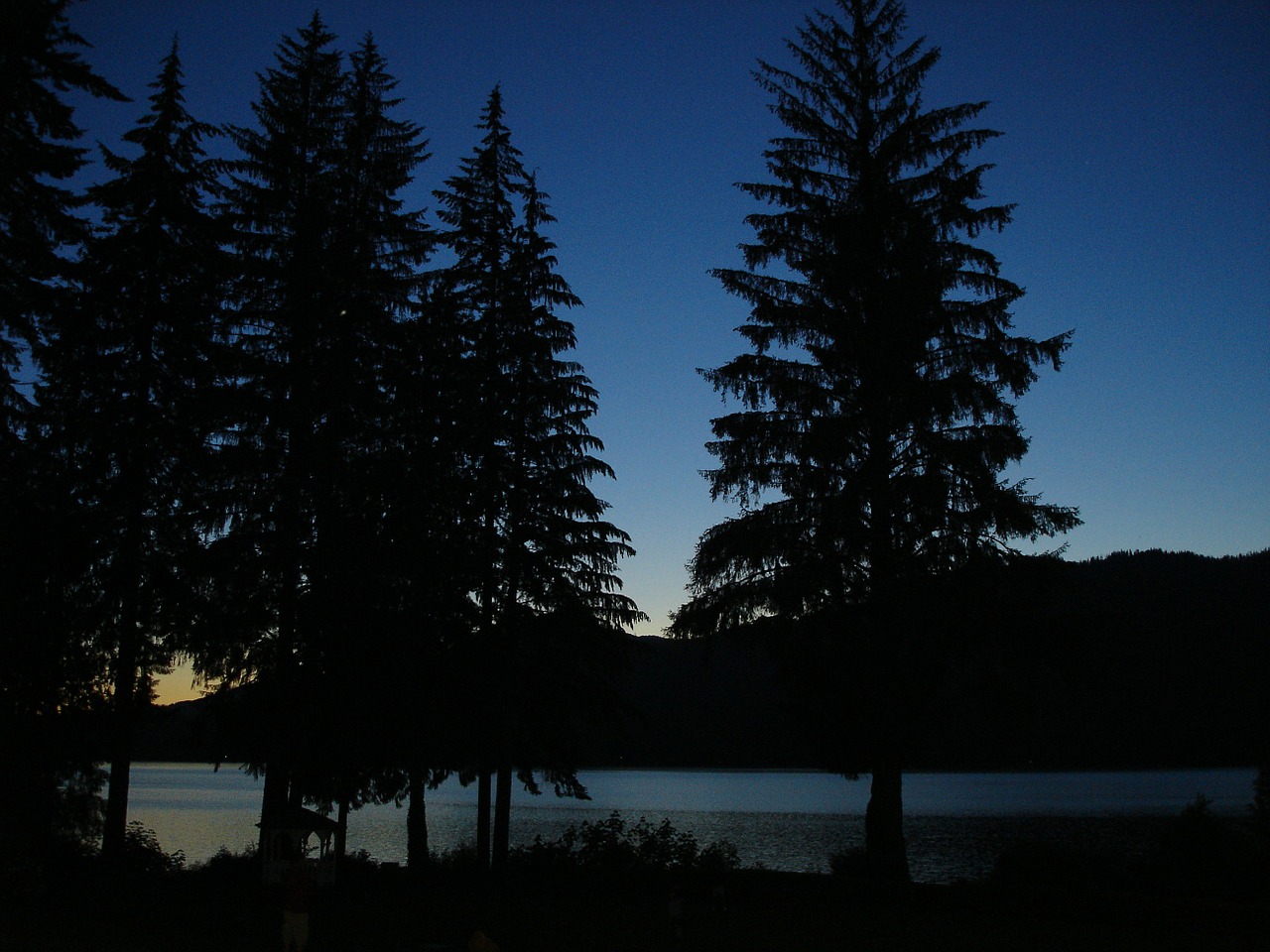 dusk lake quinault lake quinault lodge free photo