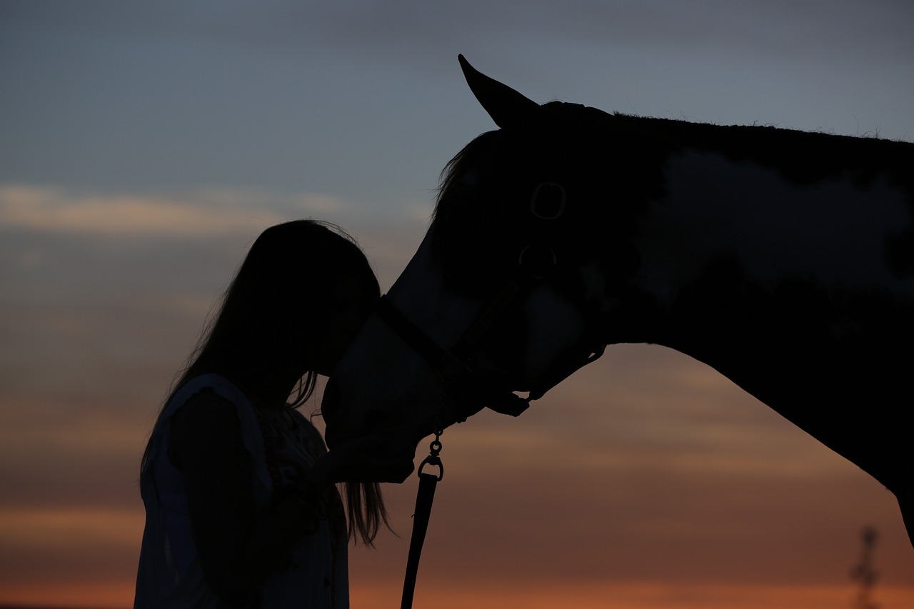 dusk silhouette love free photo