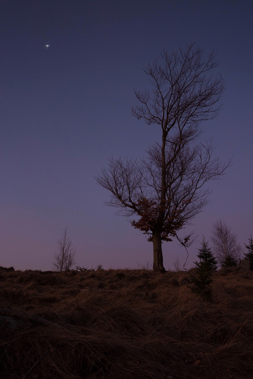 dusk evening sky romance free photo