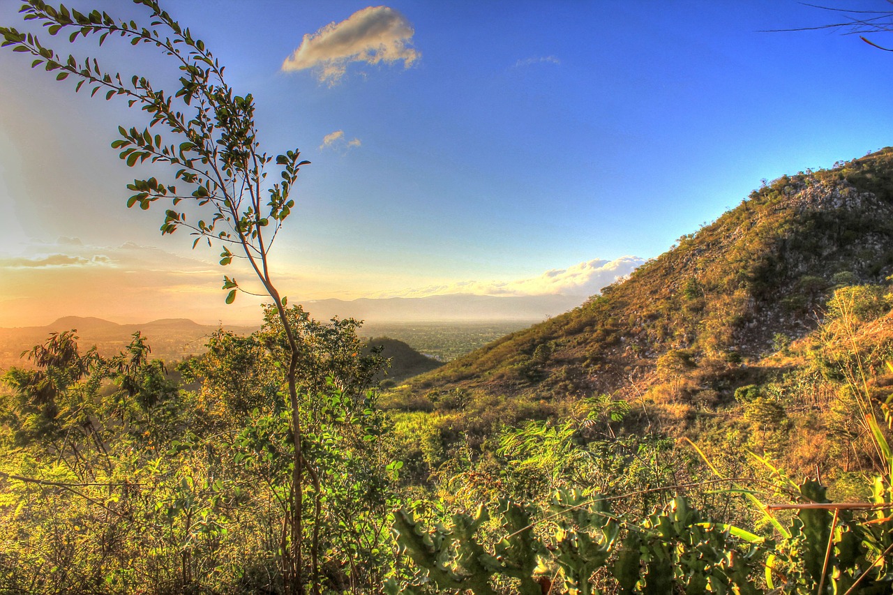 dusk mountain plants free photo