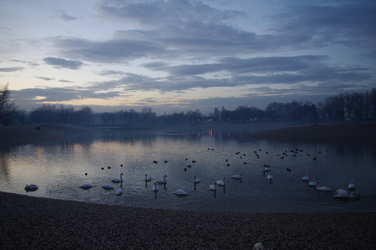 dusk evening dark free photo