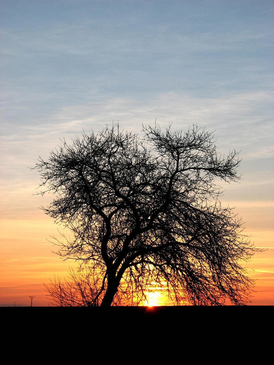 dusk sunset wood free photo