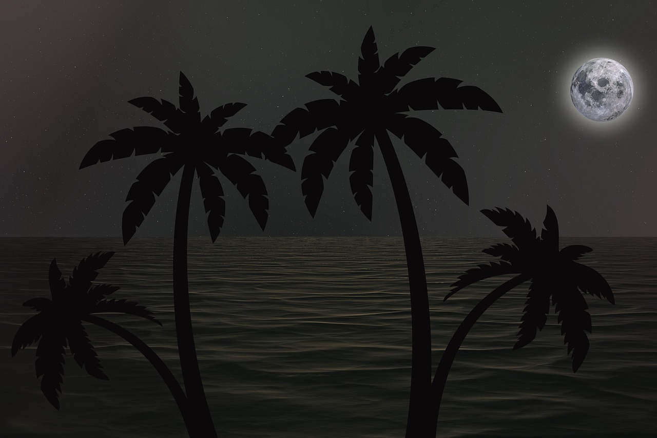 dusk  moon  palms free photo