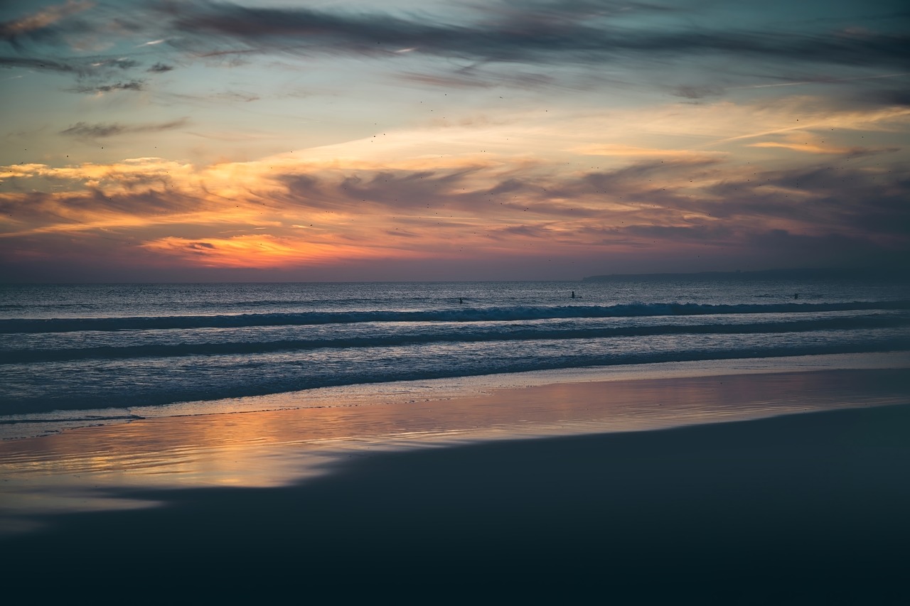 dusk  beach  surfer free photo