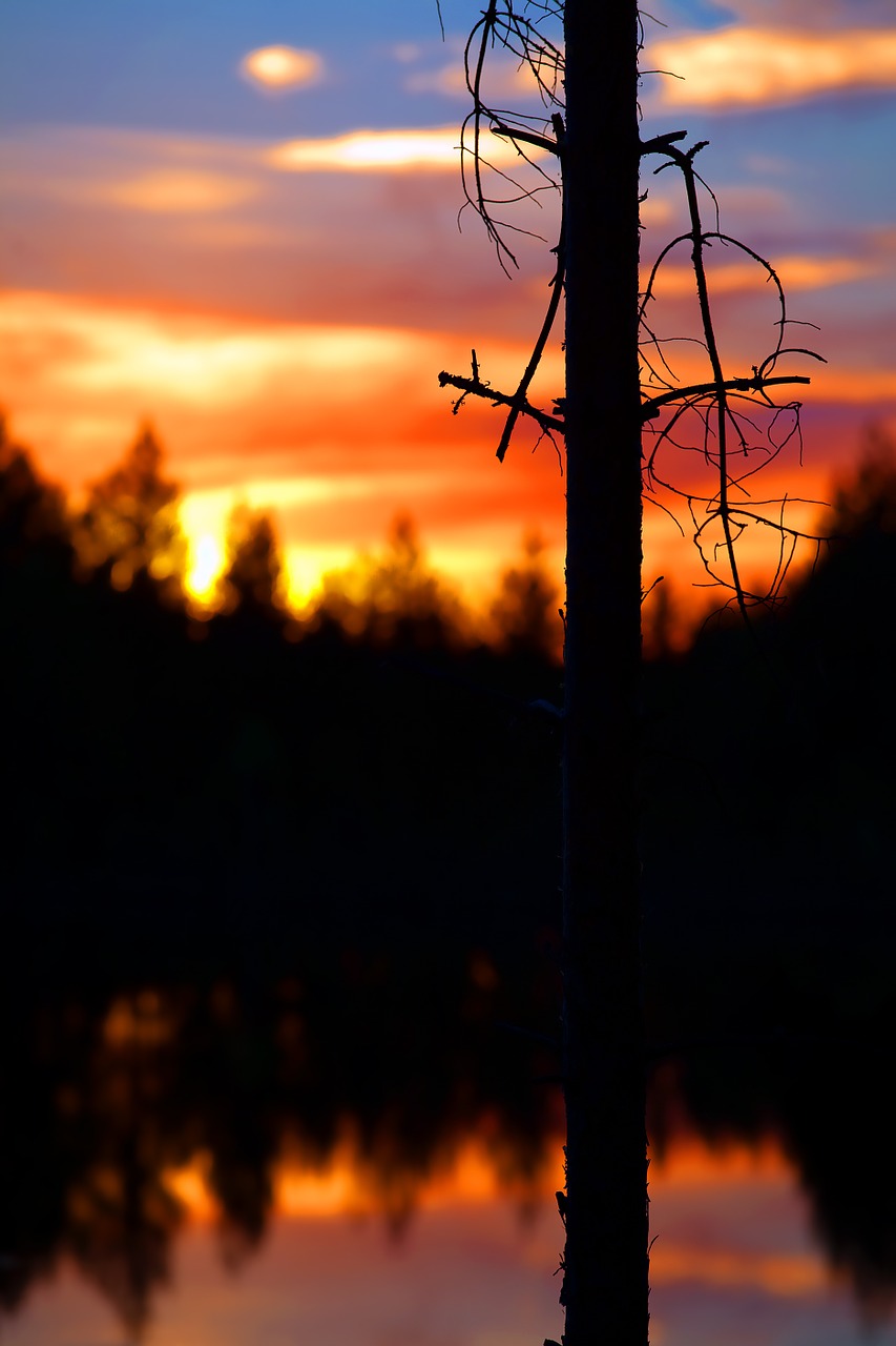 dusk water reflection free photo