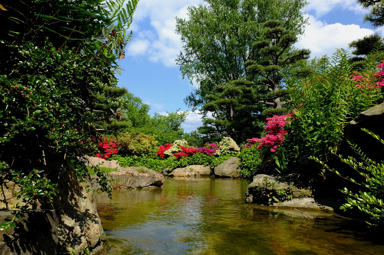 düsseldorf japanese garden ornamental garden free photo