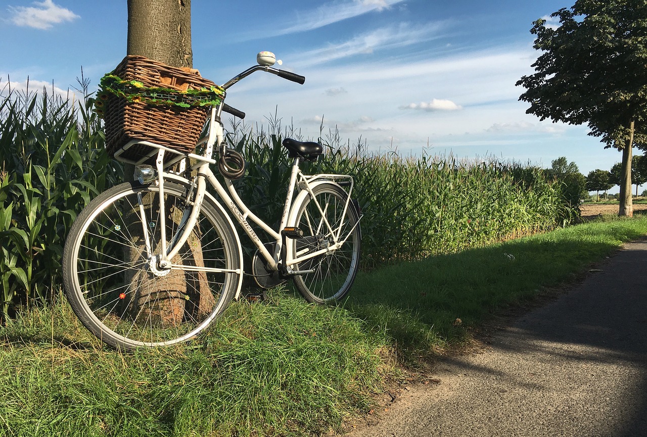 dutch wheel more free photo