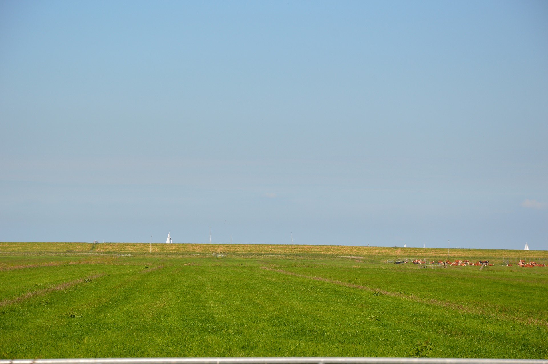 landscape panorama dutch free photo