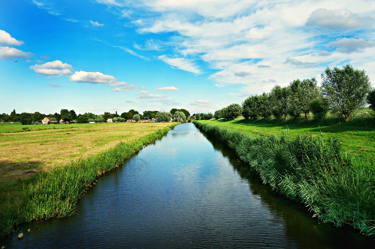 dutch landscape polder meadows free photo