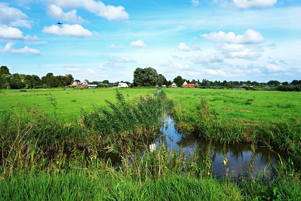 dutch landscape landscape polder free photo