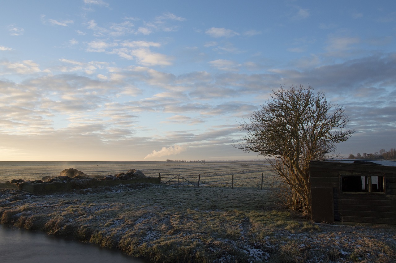 dutch landscape near amsterdam winter landscape free photo