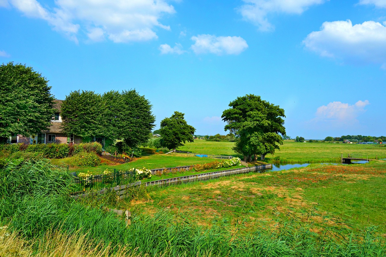 dutch landscape  farmhouse  meadows free photo