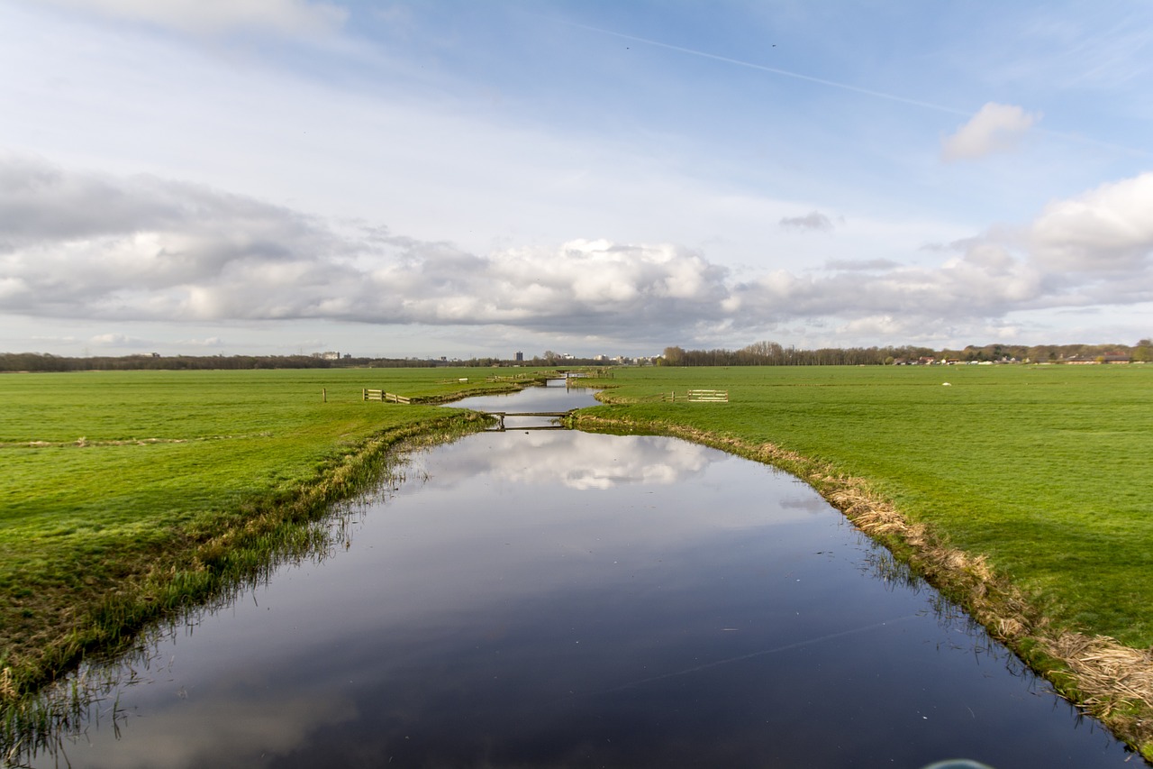 dutch landscape river meadows free photo