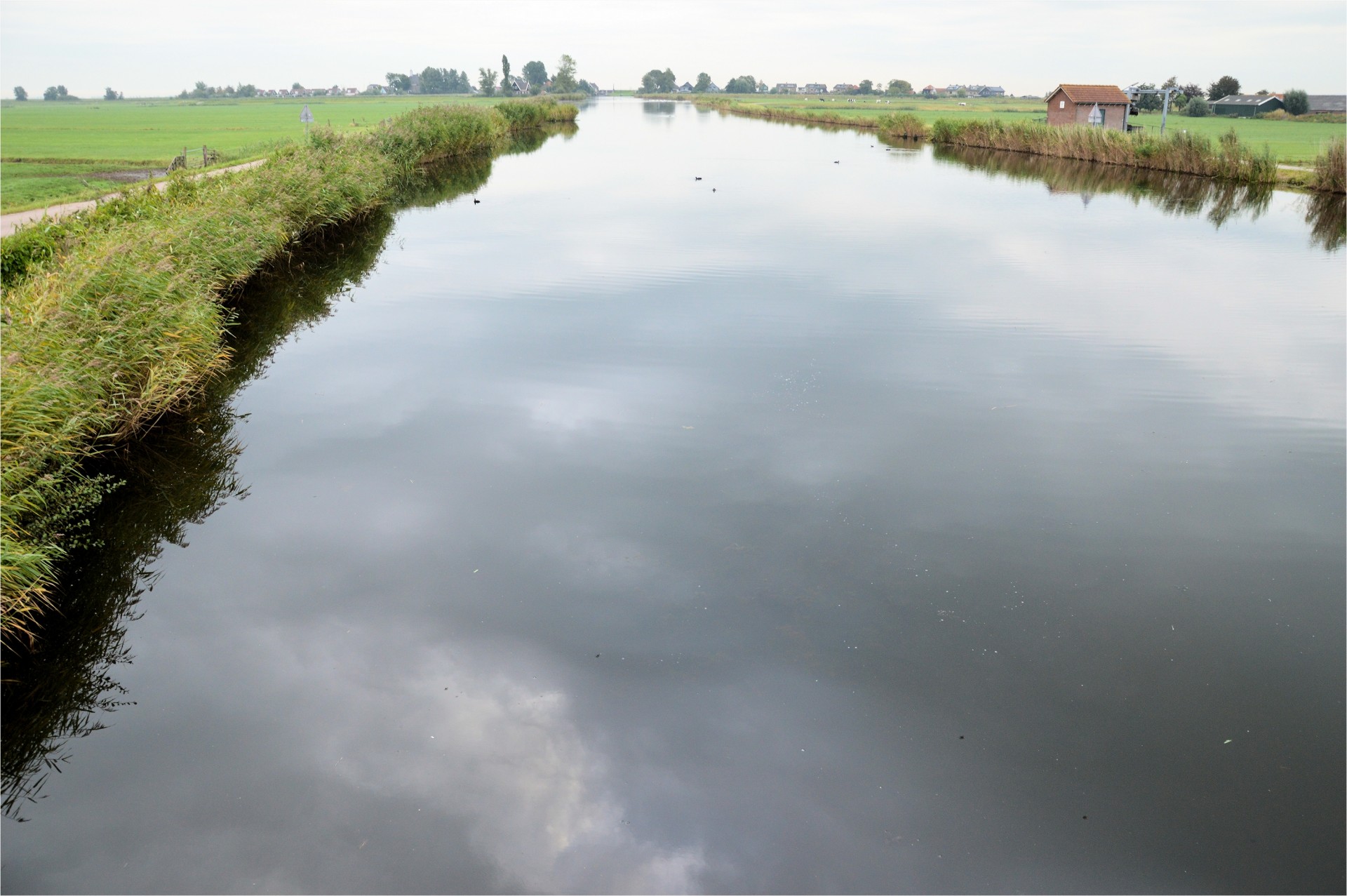 wetlands holland ditch free photo