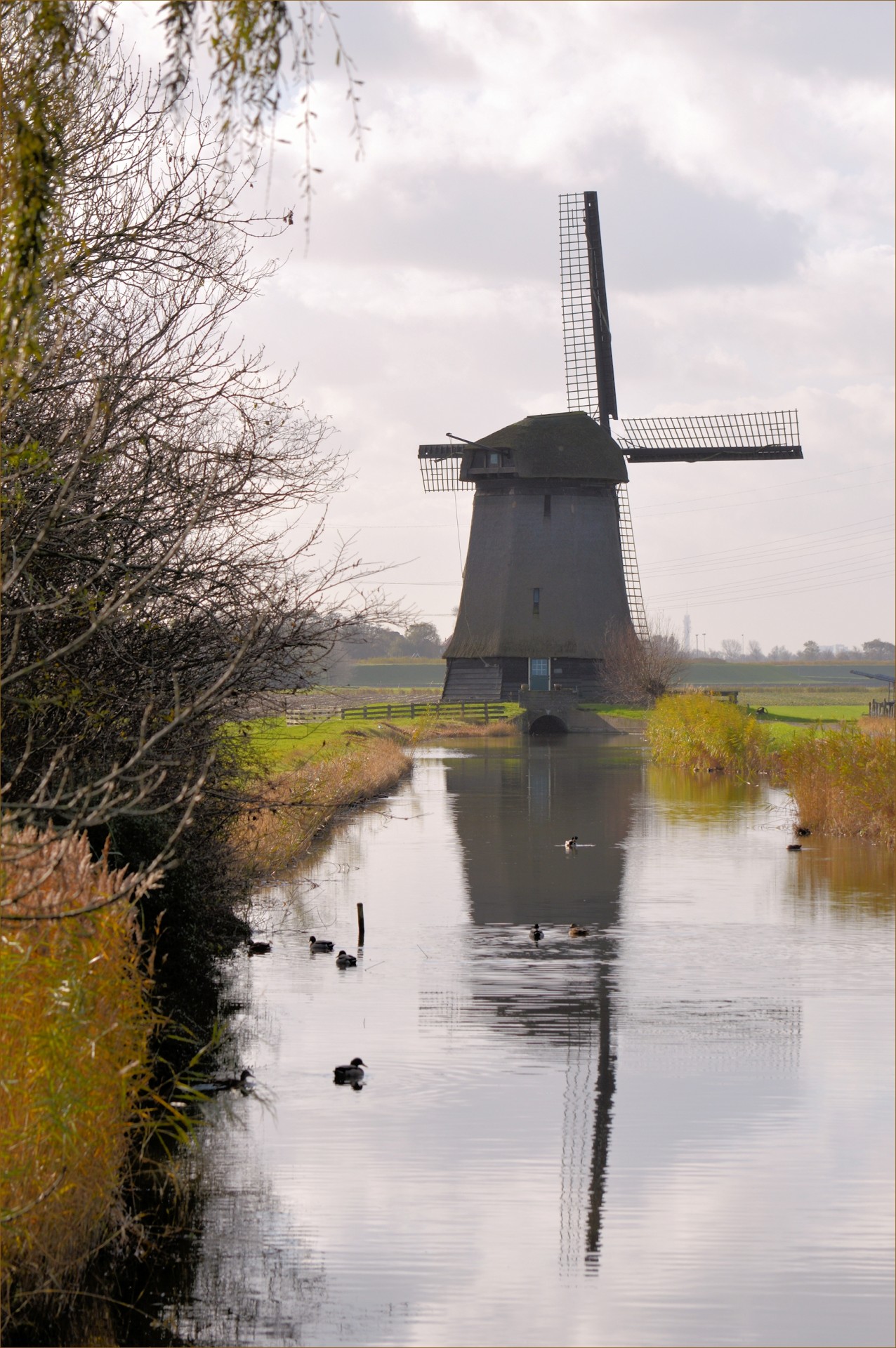 windmill tradition holland free photo