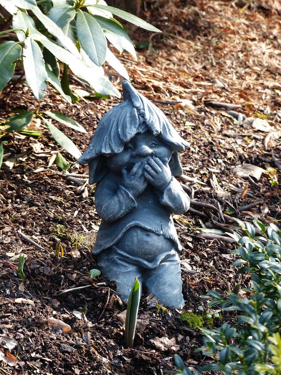 dwarf gnome kobold free photo