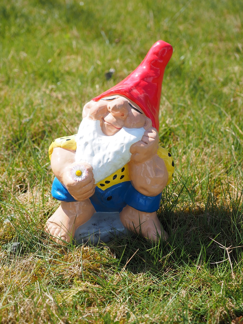 dwarf garden gnome satisfied free photo