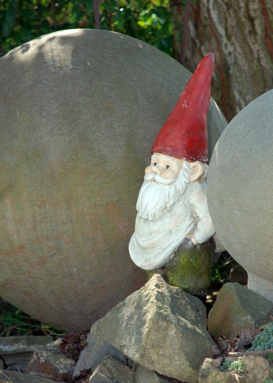 dwarf garden gnome imp free photo