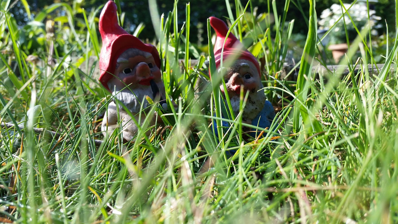 dwarfs meadow garden free photo