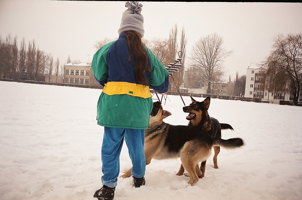 lublin girl and dog free pictures free photo